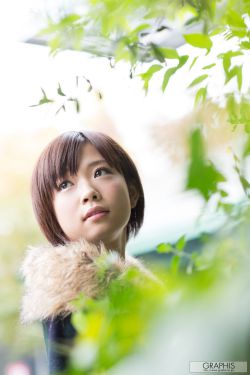 金瓶梅在線播出國(guó)語版