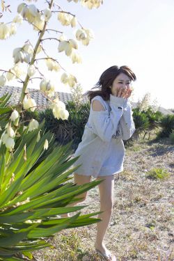 哈利波特与死亡圣器上