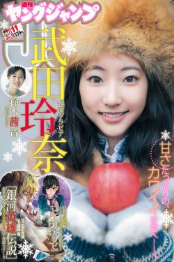 功夫足球国语版