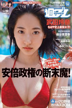 少年派2